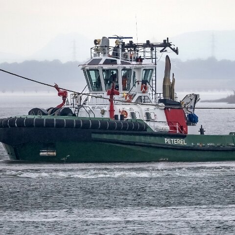 Peterel-2023-07-21-1