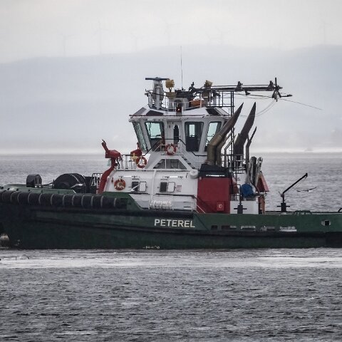 Peterel-2023-07-21-2