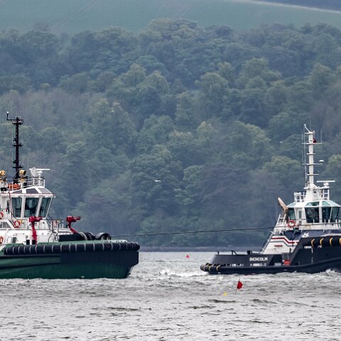 Peterel-and-Inchcolm-2021-06-03-4