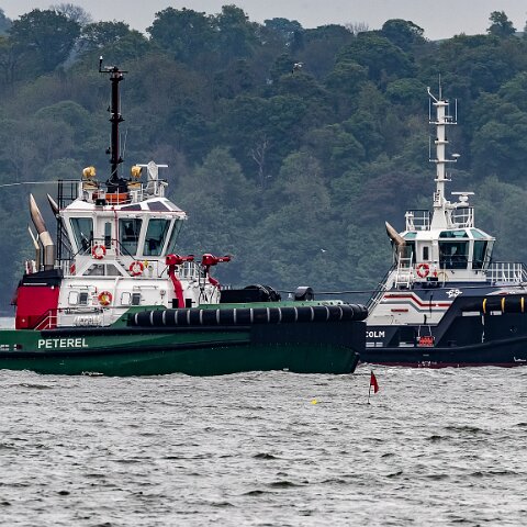 Peterel-and-Inchcolm-2021-06-03-5