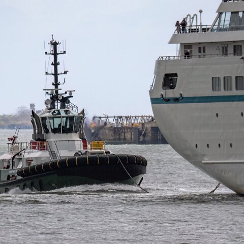 Targe-Guillemot-2025-06-04-3