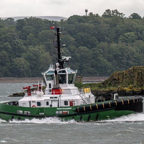 Targe-Guillemot-2025-06-04-5