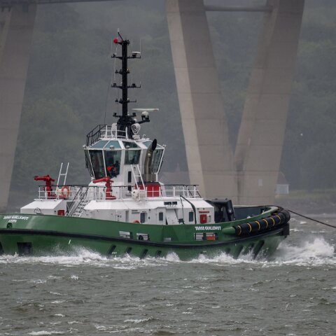 Targe-Guillemot-2025-06-04-7