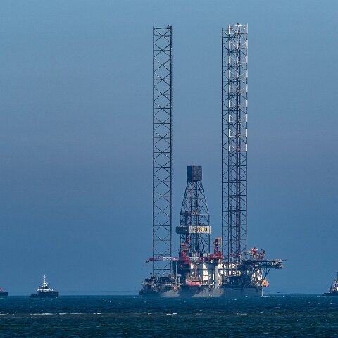 Hawk-Nevskaya-2021-06-29-4