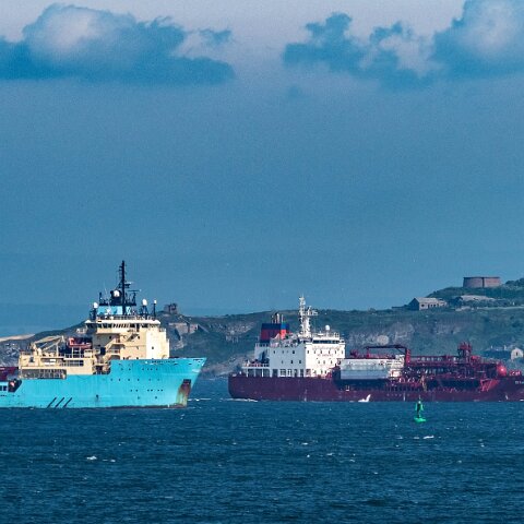 Hawk-Nevskaya-2021-06-29-7