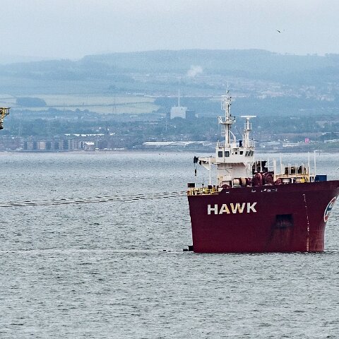 Hawk-Nevskaya-2021-06-30-2