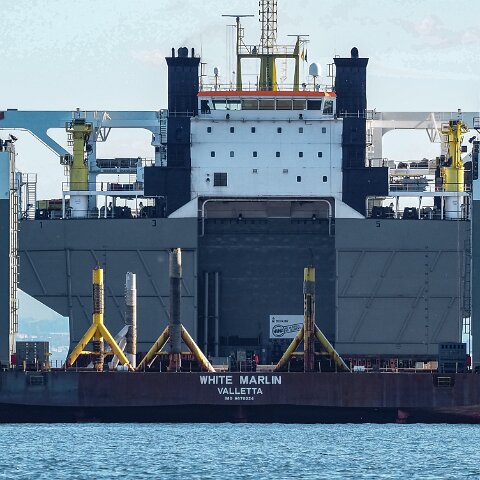 White-Marlin-and-Valaris-Gorilla-VII-2021-10-04-10