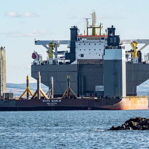 White-Marlin-and-Valaris-Gorilla-VII-2021-10-04-11