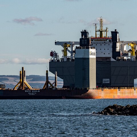 White-Marlin-and-Valaris-Gorilla-VII-2021-10-04-12