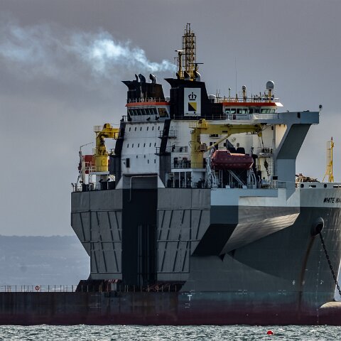 White-Marlin-and-Valaris-Gorilla-VII-2021-10-04-2