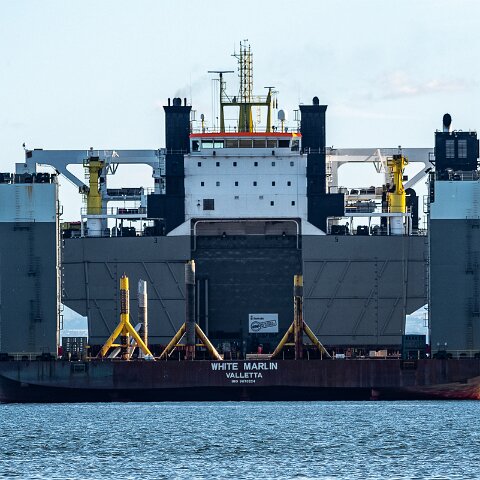 White-Marlin-and-Valaris-Gorilla-VII-2021-10-04-9