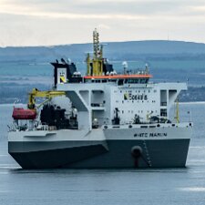 White-Marlin-and-Valaris Gorilla VII